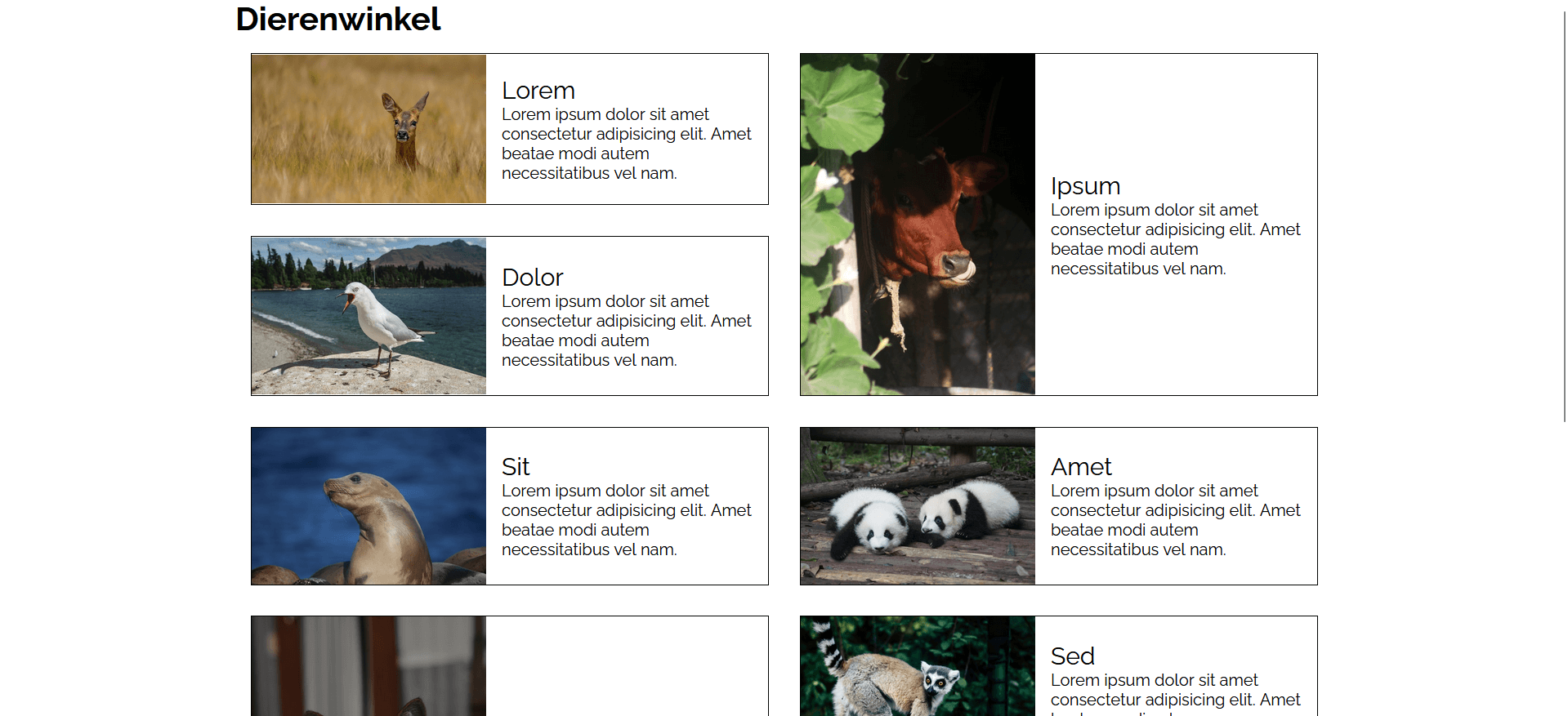 Dierenwinkel website